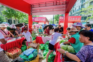 精准扶贫背景下豆制品销售的发展研究