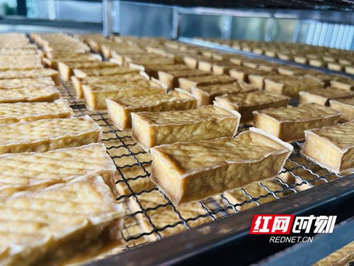 办一次会，兴一座城 武冈豆制品销售借势腾飞